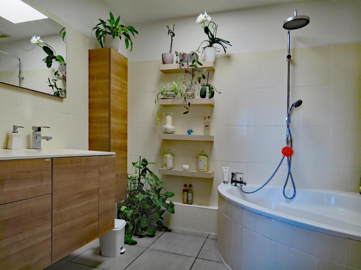 L'oasis - Loft Standing - Terrasse Rooftop - Jacuzzi - Parking *