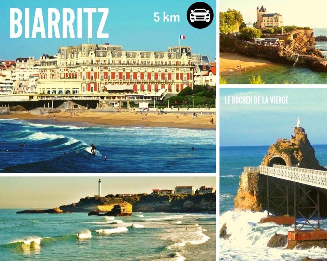 L'oasis - Loft Standing - Terrasse Rooftop - Jacuzzi - Parking Apartamento Baiona